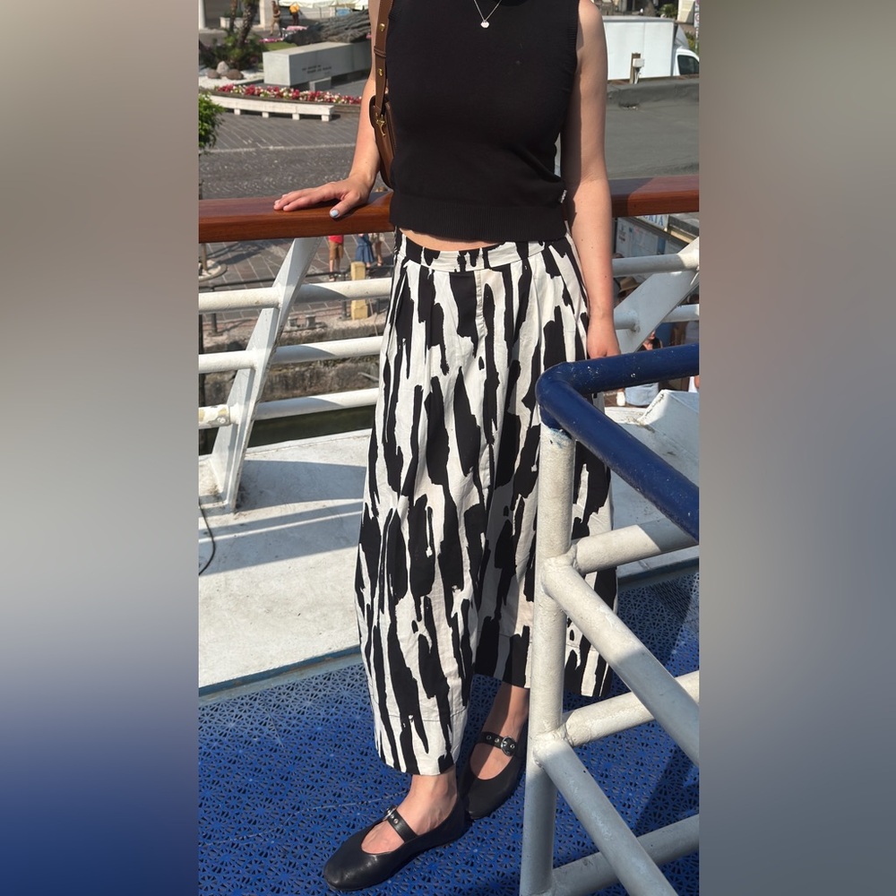 NWOT Zara Printed Maxi Skirt